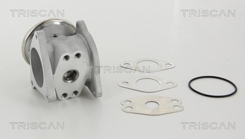Triscan 8813 29111 - ZAWÓR EGR VW 1.9TDI-2.0TDI