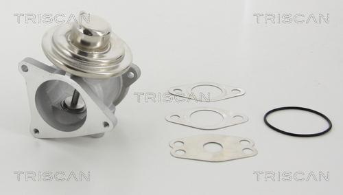 Triscan 8813 29111 - ZAWÓR EGR VW 1.9TDI-2.0TDI