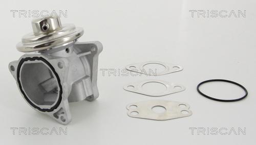 Triscan 8813 29111 — Zawór AGR