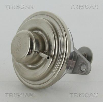 Triscan 8813 24054 — Zawór AGR