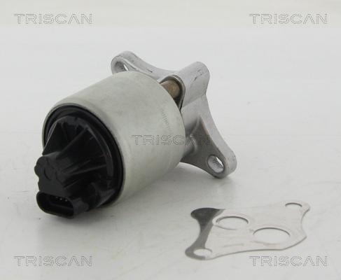 Triscan 8813 24004 — Zawór AGR