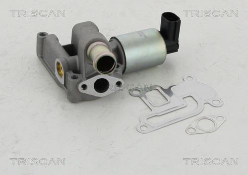 Triscan 8813 24003 — Zawór AGR