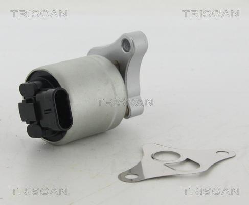 Triscan 8813 24002 — Zawór AGR