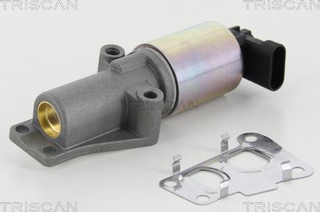 Triscan 8813 24010 — Zawór AGR