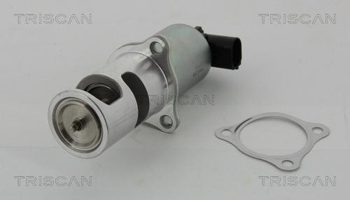 Triscan 8813 24037 — Zawór AGR