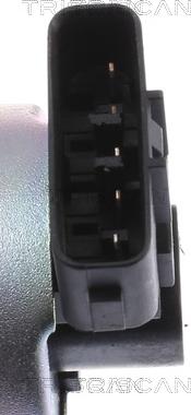 Triscan 8813 24101 - ZAWÓR EGR OPEL ASTRA H 1.7CDTI 04-