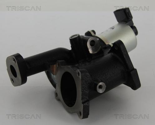 Triscan 8813 24101 - ZAWÓR EGR OPEL ASTRA H 1.7CDTI 04-