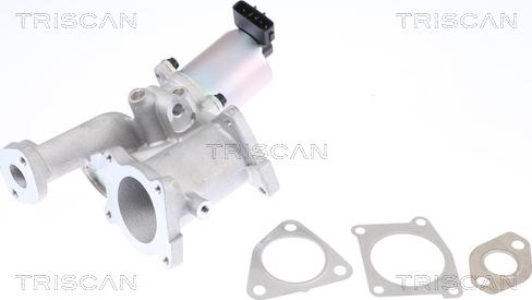 Triscan 8813 24101 — Zawór AGR