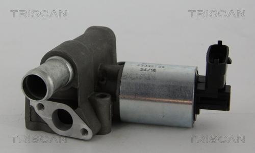 Triscan 8813 24102 — Zawór AGR
