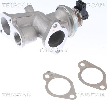 Triscan 8813 24203 — Zawór AGR