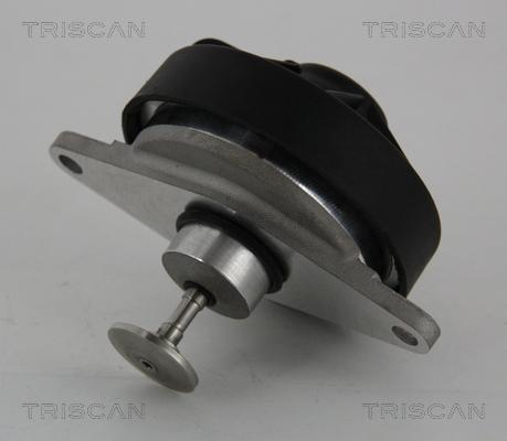 Triscan 8813 24202 — Zawór AGR