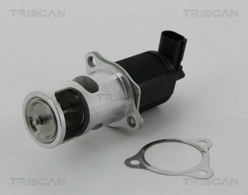 Triscan 8813 25038 — Zawór AGR