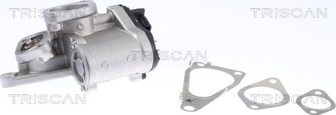 Triscan 8813 25201 — Zawór AGR