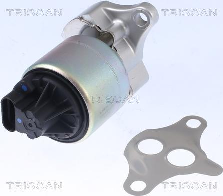Triscan 8813 21001 — Zawór AGR