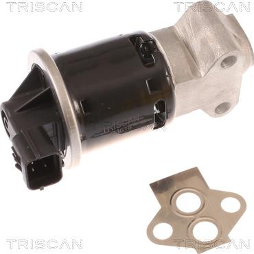 Triscan 8813 21100 — Zawór AGR
