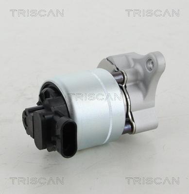Triscan 8813 28008 — Zawór AGR
