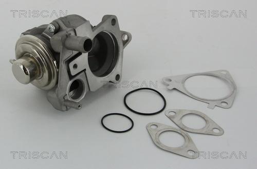 Triscan 8813 28019 — Zawór AGR