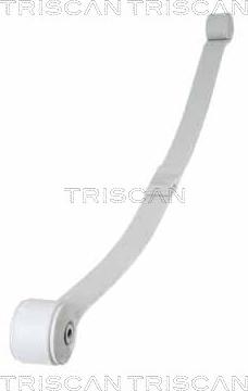 Triscan 8765 16048 — Pakiet sprężyn
