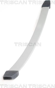 Triscan 8765 10003 — Pakiet sprężyn