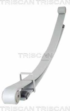 Triscan 8765 10011 — Pakiet sprężyn