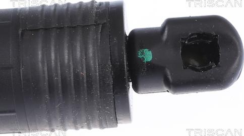 Triscan 8710 11305 - SIŁOWNIK ELEKTRYCZNY POKRYWY BAGAŻNIKA BMW X3 09.10-08.17