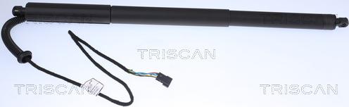 Triscan 8710 11305 - SIŁOWNIK ELEKTRYCZNY POKRYWY BAGAŻNIKA BMW X3 09.10-08.17