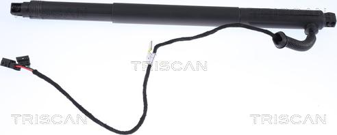 Triscan 8710 11301 — Sprężyna gazowa, pokrywa bagażnika