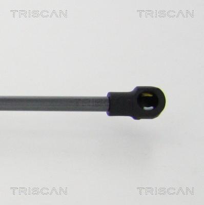 Triscan 8710 11241 - SPRĘŻYNA GAZOWA POKRYWY BAGAŻNIKA BMW 4 KABRIO 10.13- PR-LE