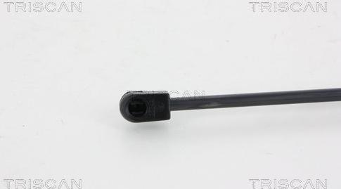 Triscan 8710 29294 - SPRĘŻYNA GAZOWA POKRYWY BAGAŻNIKA VW POLO 03.09-