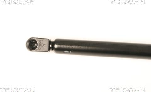 Triscan 8710 29287 - SPRĘŻYNA GAZOWA POKRYWY BAGAŻNIKA VW SCIROCCO 06.08-11.17