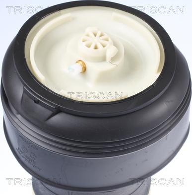 Triscan 8720 11203 - PODUSZKA POWIETRZNA BMW T. X5 07-13 LE-PR PNEUMATIC