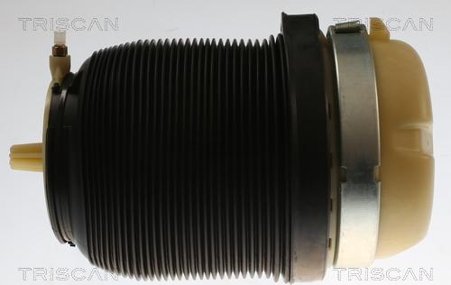 Triscan 8720 29202 — Poduszka powietrzna, zawieszenie
