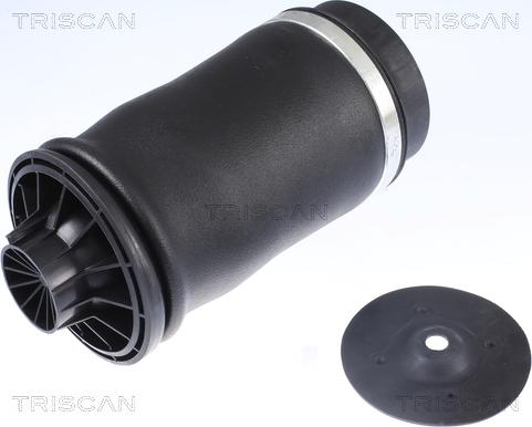 Triscan 8720 23204 — Poduszka powietrzna, zawieszenie