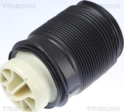 Triscan 8720 23202 — Poduszka powietrzna, zawieszenie