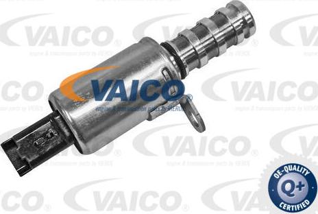 VAICO V42-0629 - ZAWOR USTALAJACY WAL.ROZRZ C4 1.6VTI 08-