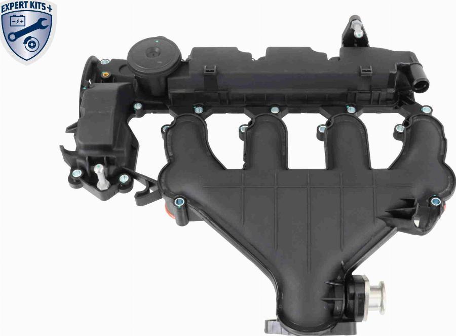 VAICO V42-1046 — Pokrywa głowicy cylindrów