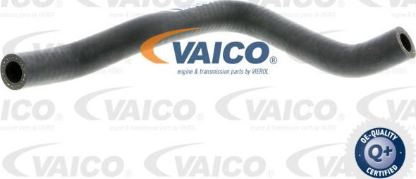 VAICO V10-4649 - PRZEWÓD WENTYLACJI SKRZYNI KORBOWEJ VW PASSAT 1.8T 96-