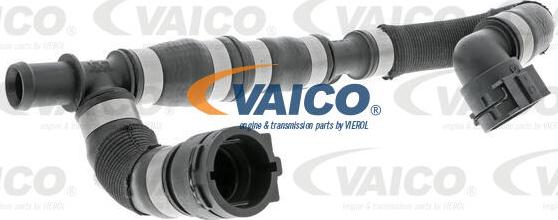 VAICO V10-4626 - Przewód gumowy układu chłodzenia