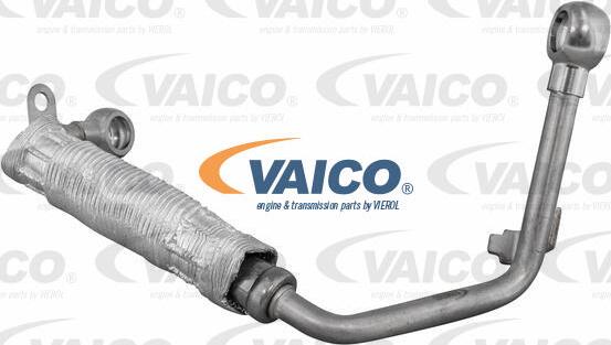 VAICO V10-6908 - PRZEWÓD ELASTYCZNY CHŁODNICY VAG