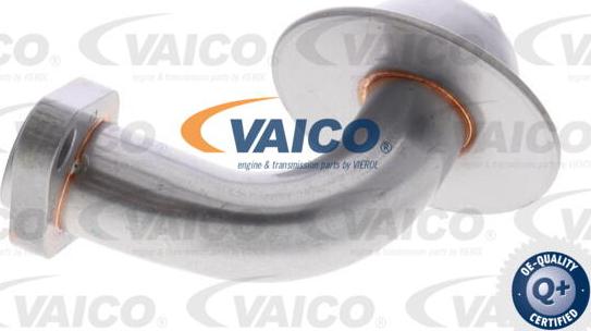 VAICO V10-6986 - SMOK POMPY OLEJU VW PASSAT 97-05
