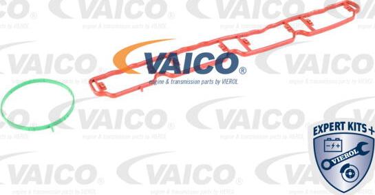 VAICO V10-3954 - MODUL KOLEKTORA DOLOT.A3 2.0TFSI 02-
