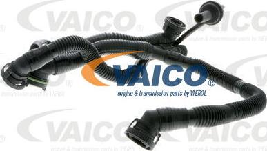 VAICO V10-3505 — Wąż, wentylacja skrzyni korbowej