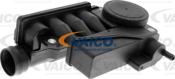 VAICO V10-3031 — Separator oleju, odpowietrzenie przestrzeni korbowej