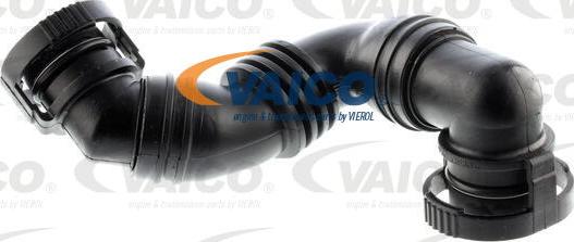 VAICO V10-3100 - Przewód odpowietrzający skrz.korbową