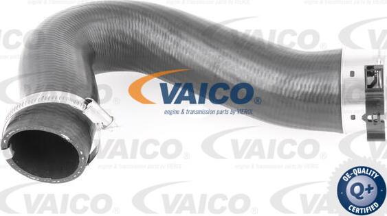 VAICO V10-3782 — Przewód powietrza doładowującego
