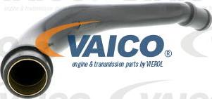 VAICO V10-2524 — Wąż, wentylacja skrzyni korbowej