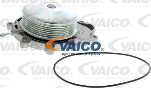 VAICO V30-50077 — Pompa wodna