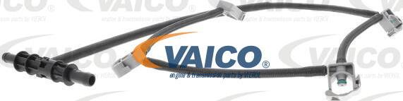 VAICO V30-3336 — Wąż, paliwo na przelewie