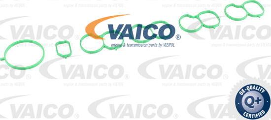 VAICO V24-0990 - Kolektor ssący