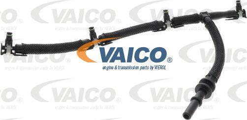 VAICO V25-2633 - PRZEWÓD PALIWA FORD FOCUS 1.5EB 18-